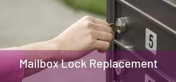  Mailbox Lock Replacement 
